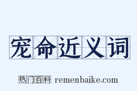 宠命近义词是什么意思的图片